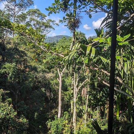 Ella Jungle Inn Homestay And Tree House Bagian luar foto