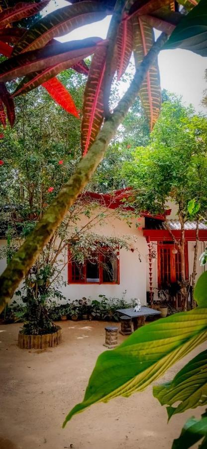 Ella Jungle Inn Homestay And Tree House Bagian luar foto
