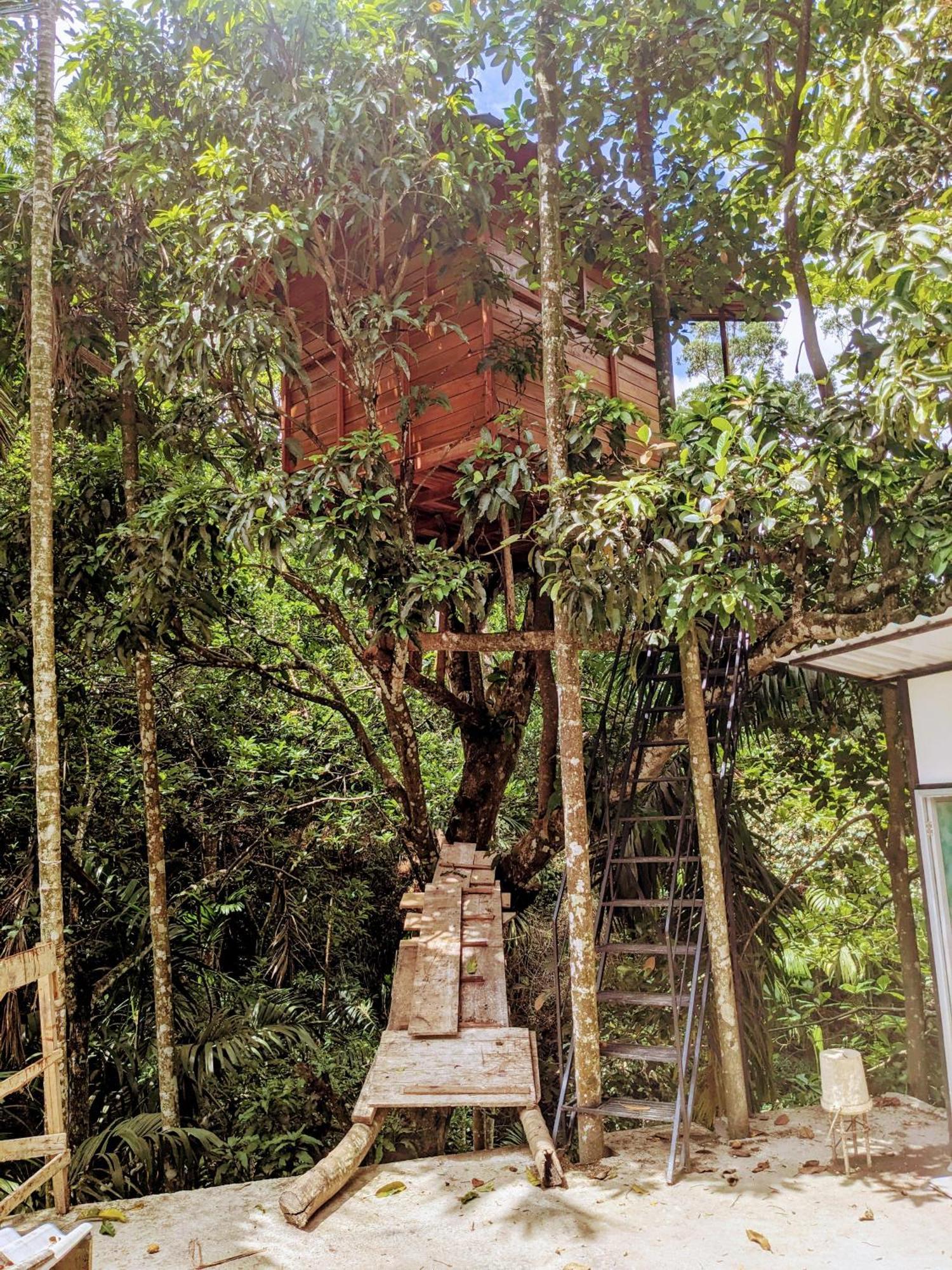 Ella Jungle Inn Homestay And Tree House Bagian luar foto