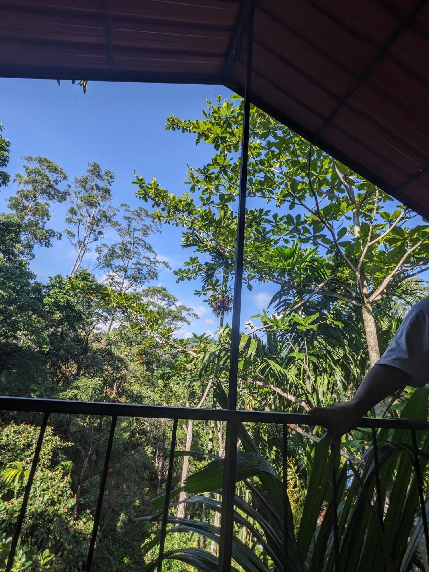 Ella Jungle Inn Homestay And Tree House Bagian luar foto