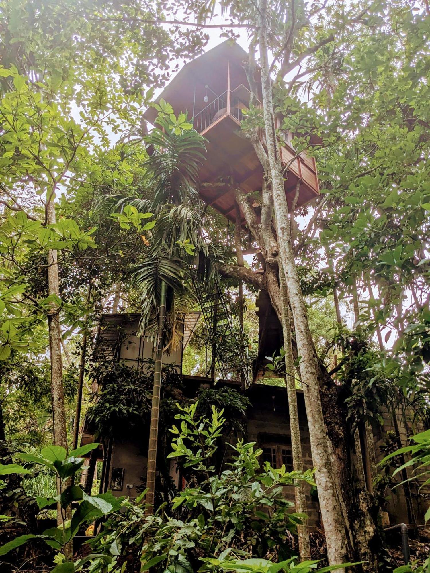 Ella Jungle Inn Homestay And Tree House Bagian luar foto