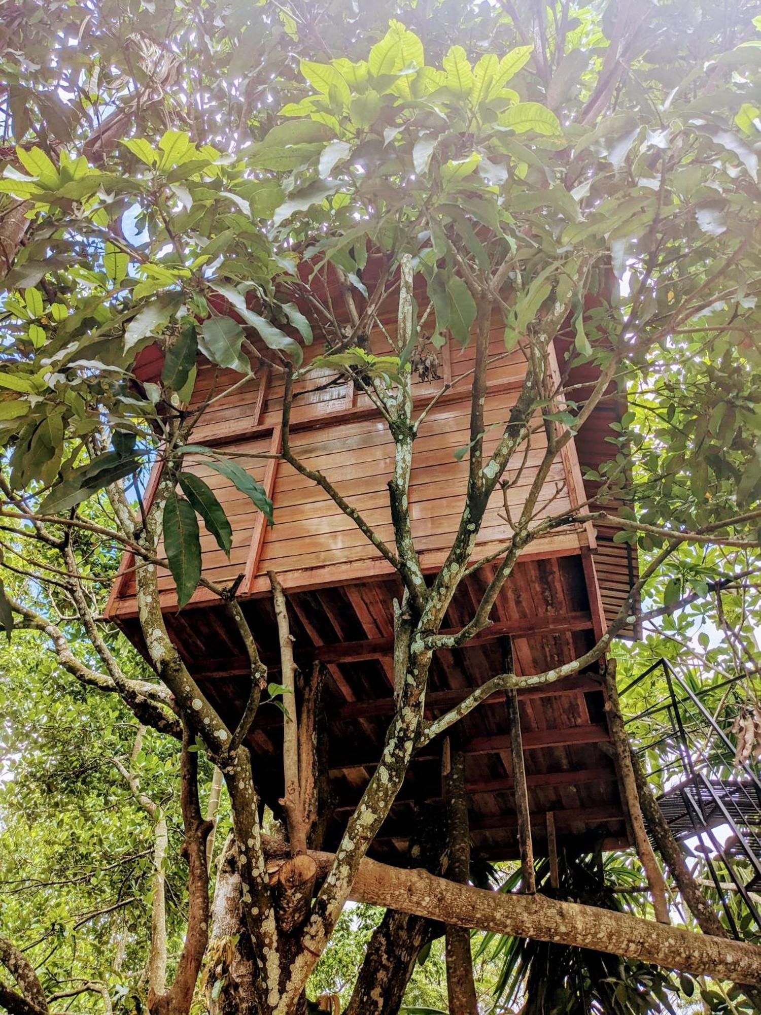 Ella Jungle Inn Homestay And Tree House Bagian luar foto