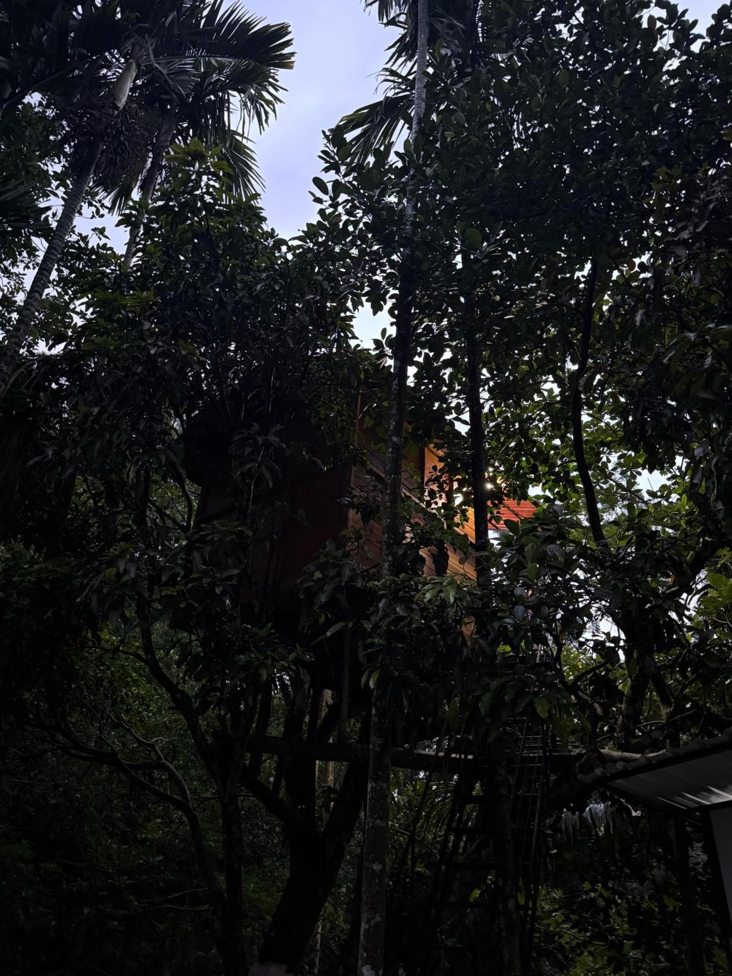 Ella Jungle Inn Homestay And Tree House Bagian luar foto