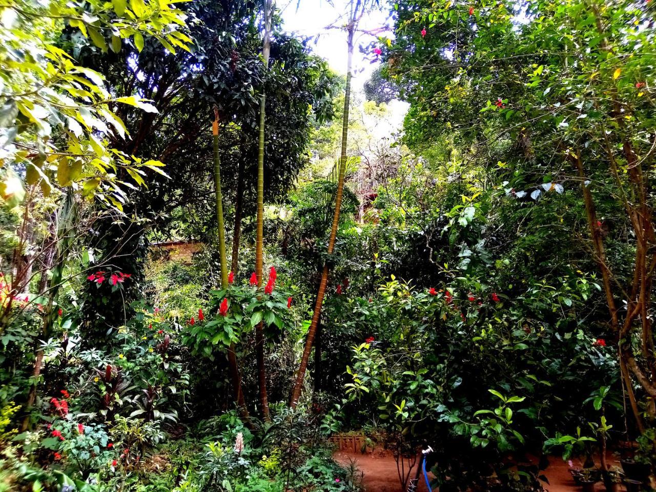 Ella Jungle Inn Homestay And Tree House Bagian luar foto