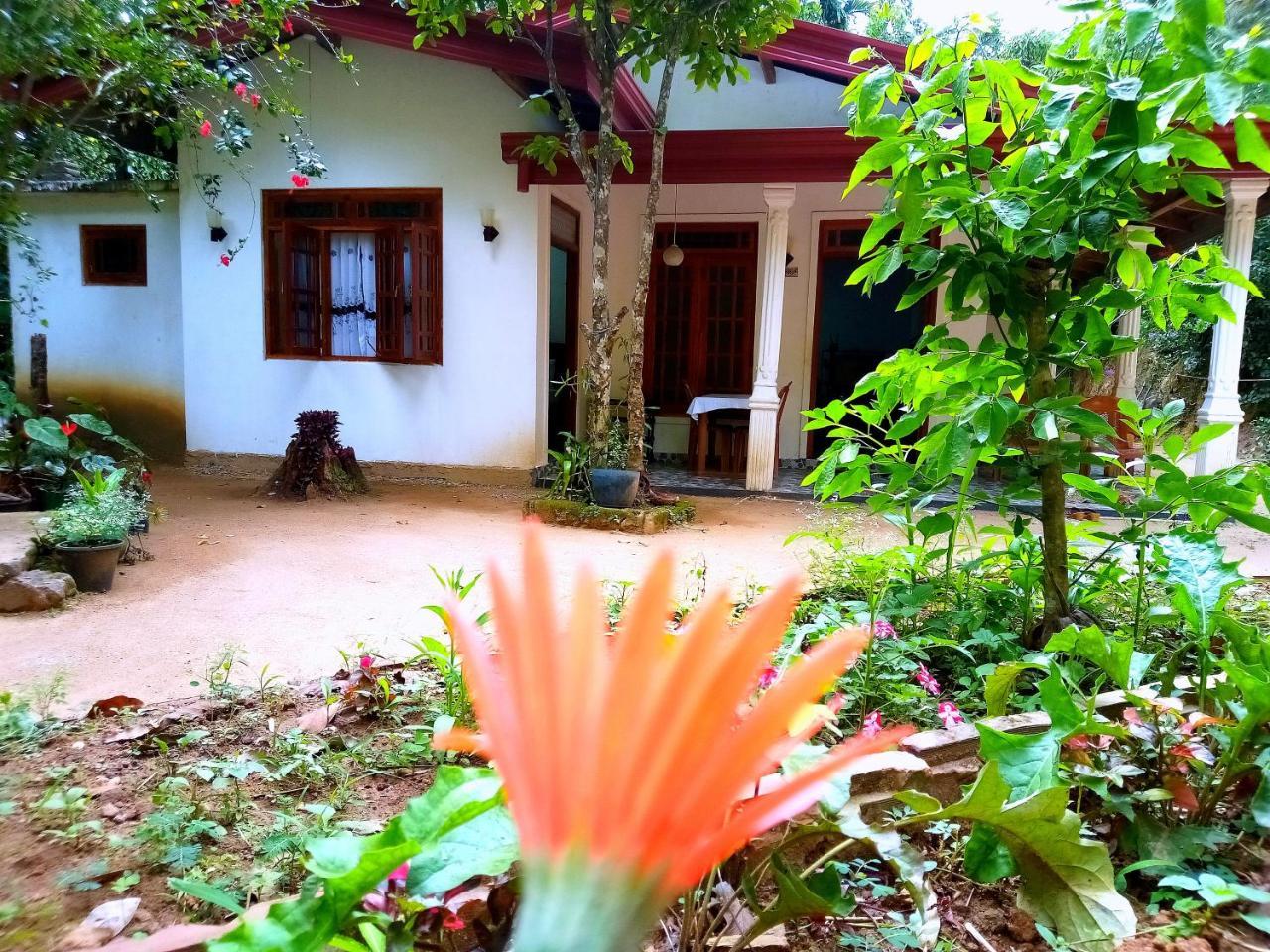 Ella Jungle Inn Homestay And Tree House Bagian luar foto