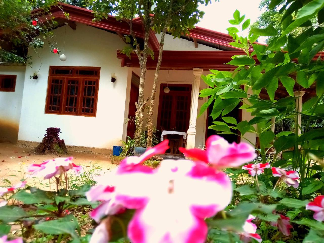 Ella Jungle Inn Homestay And Tree House Bagian luar foto