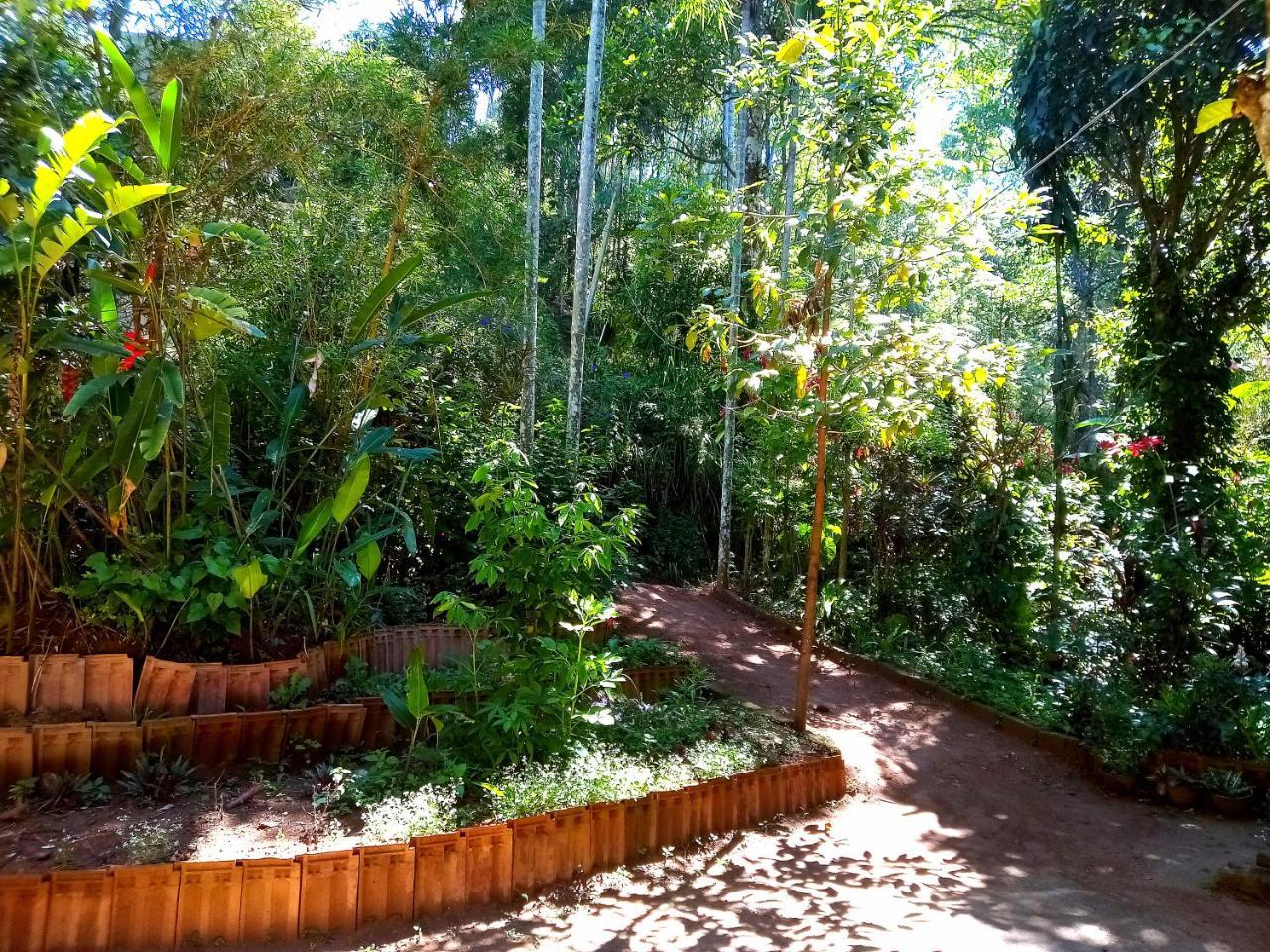 Ella Jungle Inn Homestay And Tree House Bagian luar foto