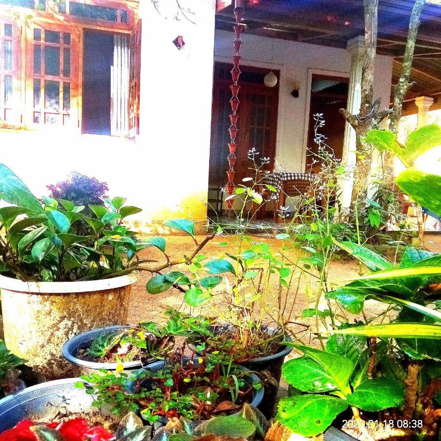 Ella Jungle Inn Homestay And Tree House Bagian luar foto